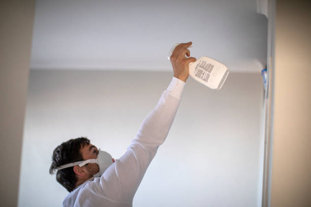Home Mold Removal in Mcnair, VA