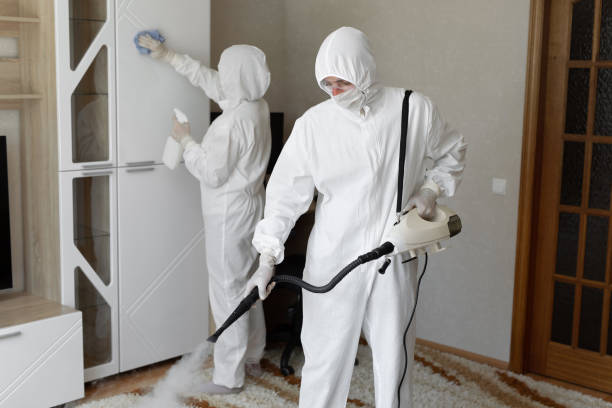 Best Mold Remediation Services  in Mcnair, VA