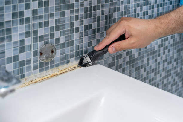 Best Commercial Mold Removal  in Mcnair, VA