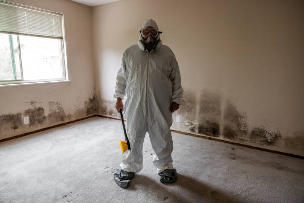 Best Attic Mold Removal  in Mcnair, VA