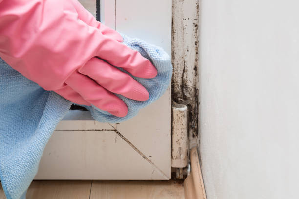 Best Mold Removal Near Me  in Mcnair, VA